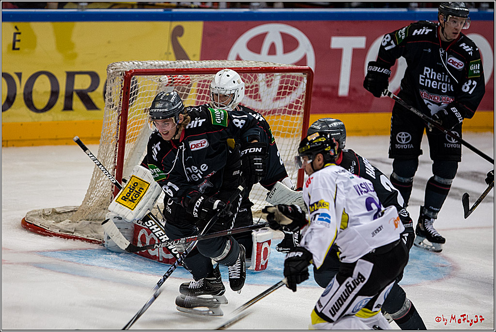 Koelner Haie - Krefeld Pinguine , 23.09.16(KW38)